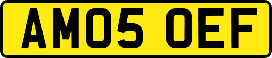 AM05OEF