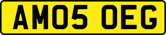 AM05OEG