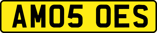 AM05OES