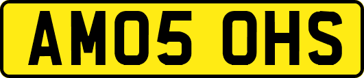 AM05OHS