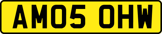 AM05OHW