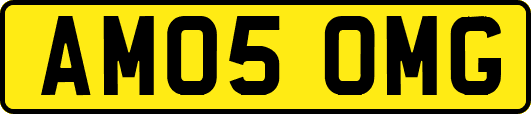 AM05OMG