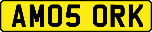 AM05ORK