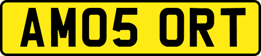 AM05ORT
