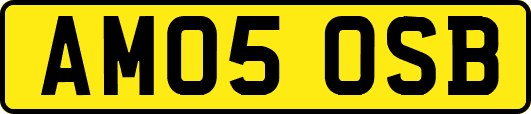 AM05OSB