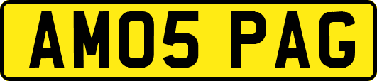 AM05PAG