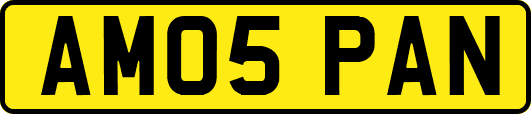 AM05PAN