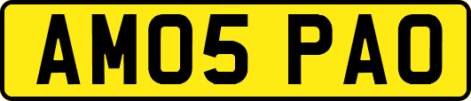AM05PAO