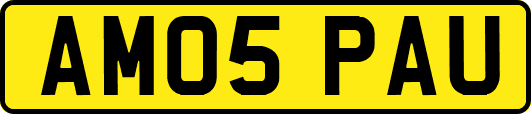 AM05PAU