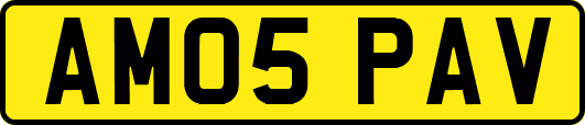 AM05PAV