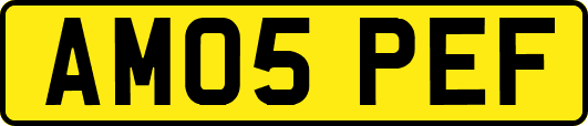 AM05PEF