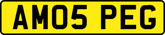 AM05PEG
