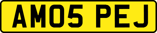 AM05PEJ