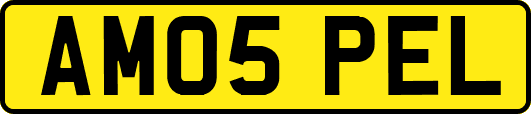 AM05PEL