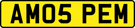 AM05PEM