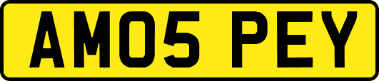 AM05PEY