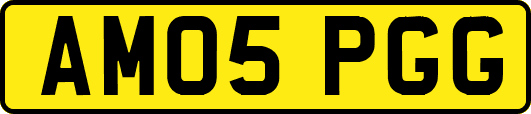 AM05PGG