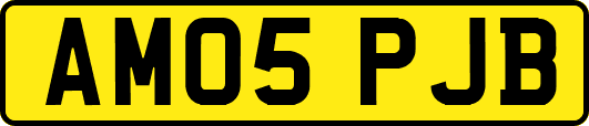 AM05PJB