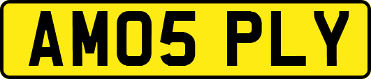 AM05PLY