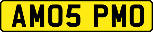 AM05PMO