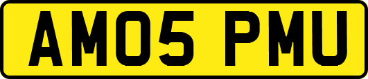 AM05PMU