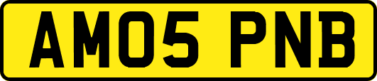 AM05PNB