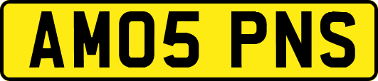 AM05PNS