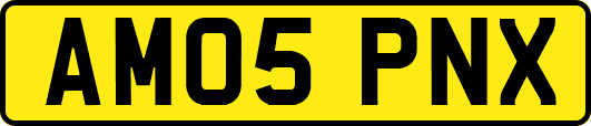 AM05PNX