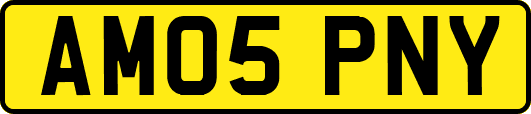 AM05PNY