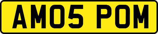 AM05POM