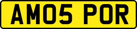 AM05POR