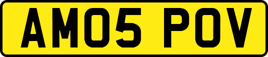 AM05POV