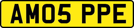 AM05PPE