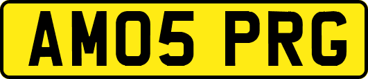 AM05PRG