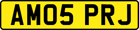 AM05PRJ