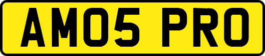 AM05PRO