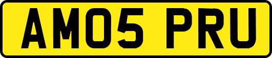 AM05PRU