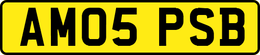 AM05PSB