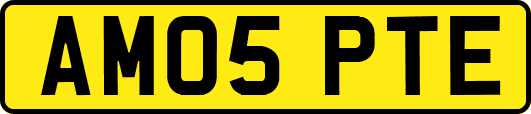 AM05PTE