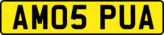 AM05PUA