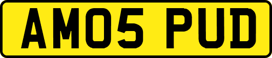 AM05PUD