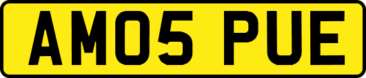 AM05PUE