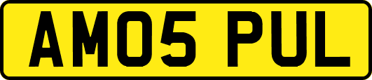AM05PUL
