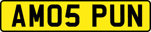 AM05PUN