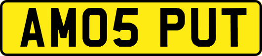 AM05PUT