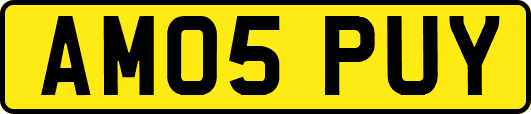 AM05PUY