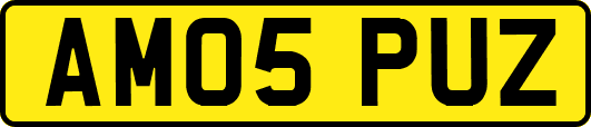 AM05PUZ
