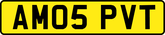 AM05PVT