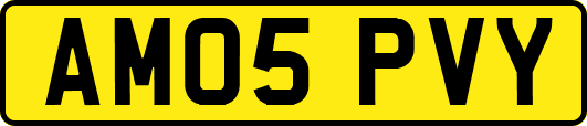 AM05PVY