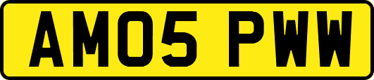 AM05PWW